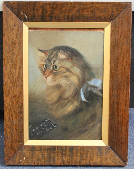 Florence N Street (Exh. 1884) Portrait of a tabby cat, 12 x 8in.